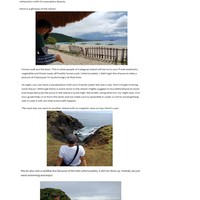 Word Press Management