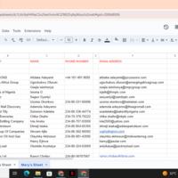 GOOGLE SHEET ENTRY