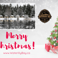 Portfolio Thumbnail 11