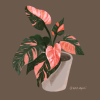 Portfolio Thumbnail 5