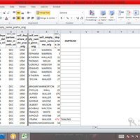 Data Entry (PDF to EXcel