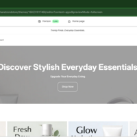 Shopify Practice Store Setup