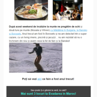 Newsletter content and set-up