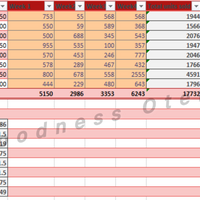 Sales Data Entry & Analysis in Excel