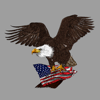 Eagle Talon Patriotic T-Shirt Design
