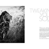 United Maverick Magazine Vol3