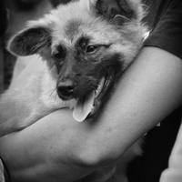 Playing with 50mm and monochrome