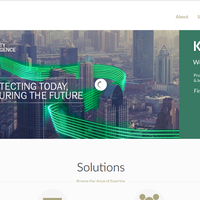 Company Website Dev.