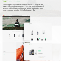 Shopify website development