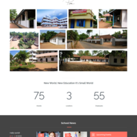 Wordpress Website customization