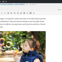 WordPress Management
