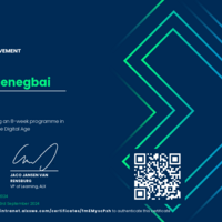 Virtual Assistant Certificate