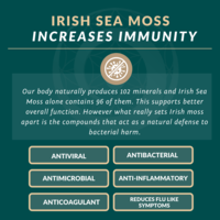 Portfolio Thumbnail 12