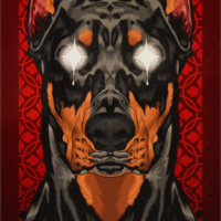 Portfolio Thumbnail 14