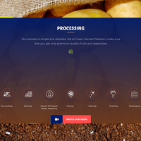 Process inforgraphic
