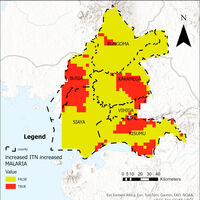 Portfolio Thumbnail 4