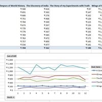 My Excel Skills 3