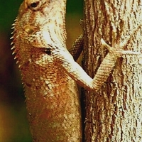 Portfolio Thumbnail 4