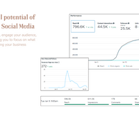 Social Media Platform Potential