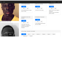 Virtual Image Sorting