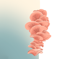 Portfolio Thumbnail 1