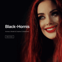 Black-Hornis® Homepage (Desktop)