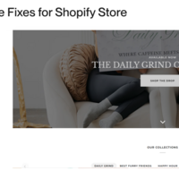 ADA & WCAG Compliance Fixes for Shopify Store