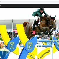 Portfolio Thumbnail 2