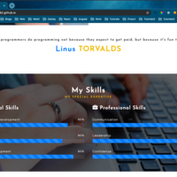 Portfolio Site in HTML, CSS, JavaScript