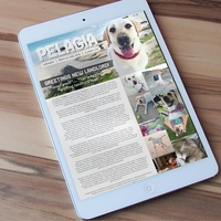 Portfolio Thumbnail 8