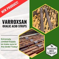 Portfolio Thumbnail 10