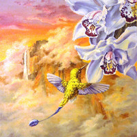 The hummingbird's flight near the Angel fall...