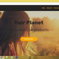 Wordpress Website 1