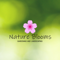 Portfolio Thumbnail 8