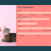Website Form
