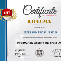 Information Security and Cyberlaw