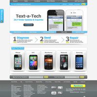 Web Design and Programming irevamp electronics