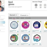 Virtual Assistant Bootcamp Badges