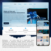 E-commerce Website Development