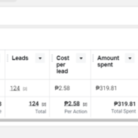 Ads manager that I manage: Leads  got  a job hiring event