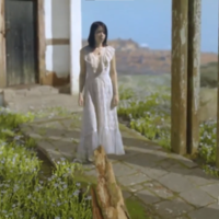 Check the VFX Shot at my Behance
