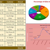 Office Application Excel and Chart 