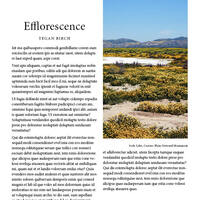 InDesign Sample Work 