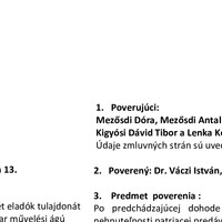 Portfolio Thumbnail 0