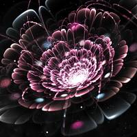 Portfolio Thumbnail 13