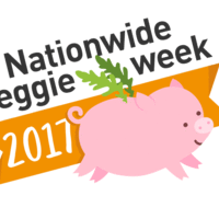 Portfolio Thumbnail 0