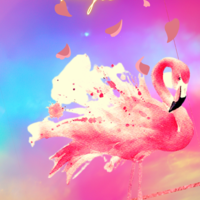 Portfolio Thumbnail 38