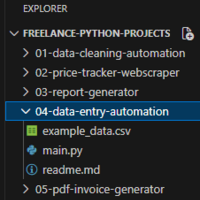 Folder View:  Data Entry Project Files