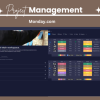 Project Management (Monday.com)