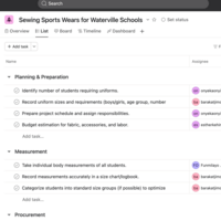 Project coordination with the use of Asana